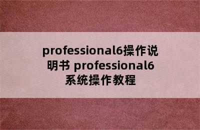 professional6操作说明书 professional6系统操作教程